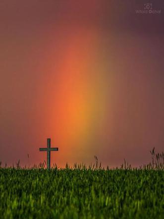 Tęcza po burzy na podkarpackim niebe. Zobacz, co udało się uchwycić fotografowi [GALERIA]