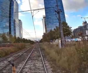 Wstrząsające nagranie w tramwaju. Rowerzysta przejechał na czerwonym świetle przez pasy