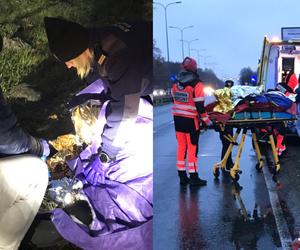 Starszy mężczyzna leżał na poboczu ruchliwej drogi! Wcześniej spędził noc w lesie