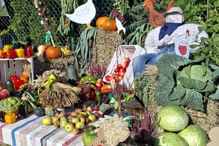 Gminne Dożynki w Ratajach 2025