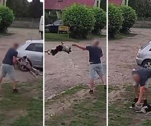 Złapał psa i rzucił nim z całej siły o ziemię! Wstrząsające nagranie obiegło sieć