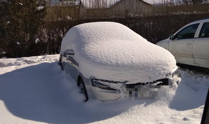 Najbardziej ZASYPANE auta na rzeszowskich ulicach. Będą musieli czekać DO WIOSNY? SZOK! [ZDJĘCIA INTERNAUTÓW]