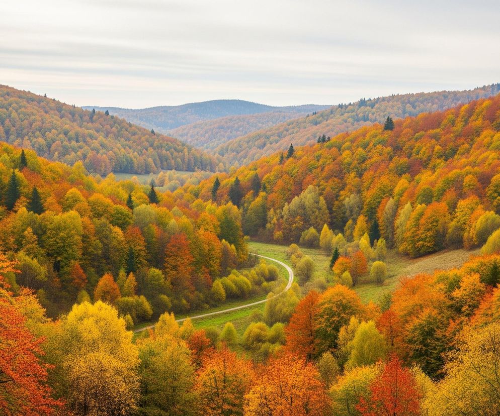 Rozległy jesienny krajobraz przedstawia dolinę otoczoną wzgórzami, gęsto pokrytymi drzewami liściastymi o intensywnych barwach żółci, pomarańczy i czerwieni. W centrum kadru, w dolinie, wijąca się polna droga o jasnej nawierzchni przebiega przez zielone łąki, otoczone mniejszymi drzewami i krzewami. W tle widoczne są kolejne pasma górskie, zanurzone w delikatnej mgle, a nad całością rozciąga się jasne, zachmurzone niebo z widocznymi poziomymi smugami chmur.