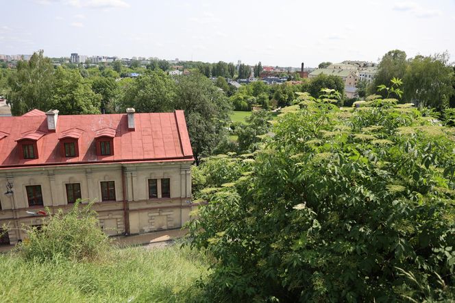 Taras widokowy na placu im. Jerzego Giedroycia w Lublinie
