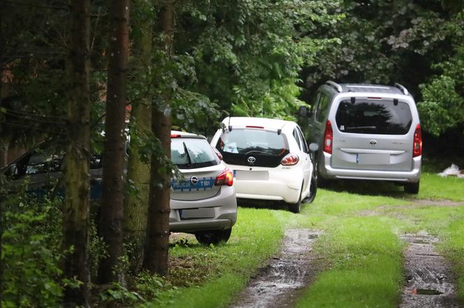 Zabójstwo pod Iławą