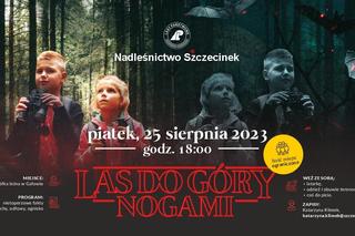 Leśnicy zapraszają do lasu do góry nogami 