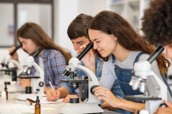 Szkoła Podstawowa im. Marii Skłodowskiej-Curie – Wilamów (powiat poddębicki)