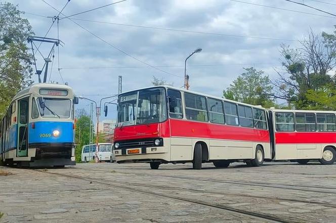 Nocna przejażdżka zabytkowymi autobusami. Klub Sympatyków Transportu Miejskiego zaprasza