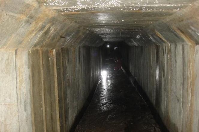 Pod Zamkiem Książąt Pomorskich w Szczecinie znajdują się tunele o długości się ok. 270 metrów 