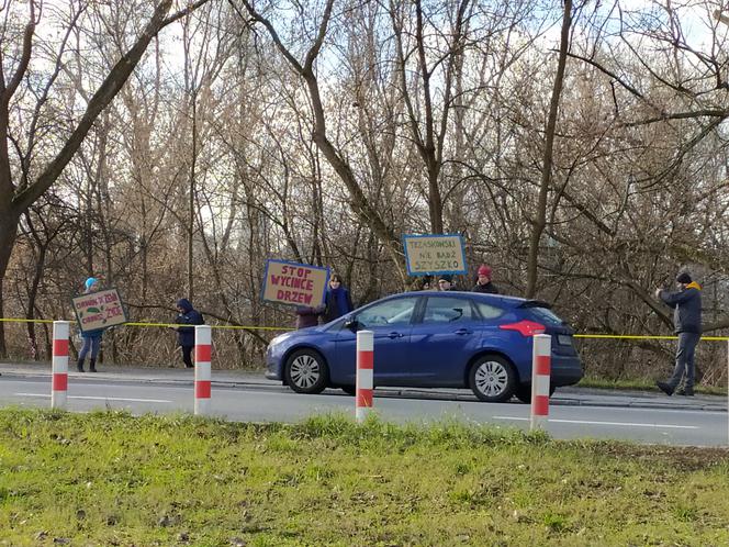 "Zostaniemy tu do marca". Aktywiści w obronie drzew nad Wisłą