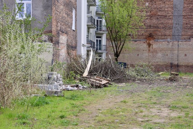 Deweloper nielegalnie wyciął dwa drzewa w Warszawie. Mieszkańcy oburzeni. „Będziemy reagować”