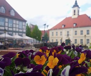 Angermünde