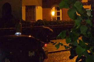 Trzy sekundy i nie ma człowieka. Osiłek się wściekł, dramatyczny finał bójki