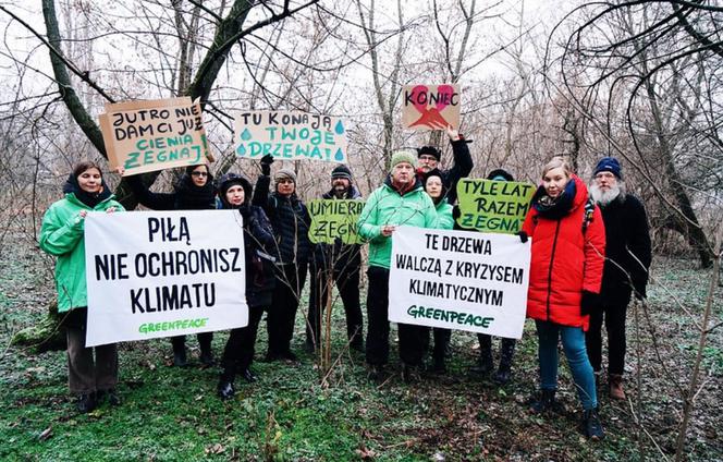 Prezydencie Trzaskowski, piłą nie ochronisz klimatu! Aktywiści z Greenpeace Polska protestują w Warszawie