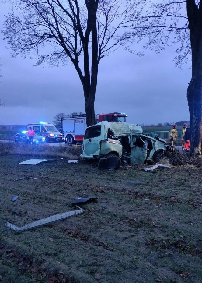 Dwóch 18-latków zginęło. Tragedia na drodze niedaleko Oleśnicy