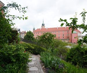 Ukryty ogród w Warszawie - widok na Zamek Królewski