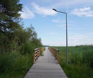 Podlaska Atlantyda, czyli Zalew Siemianówka i okolice