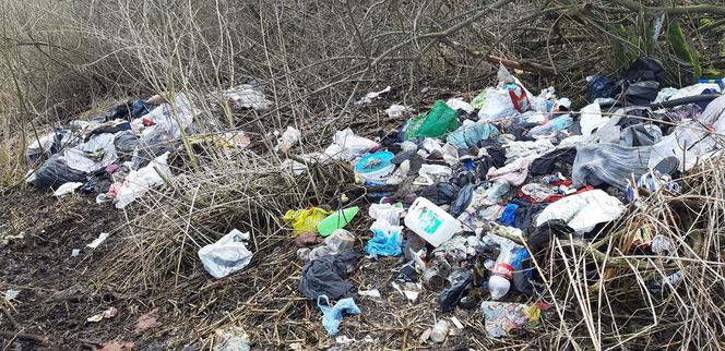 Stosy śmieci w Lesie Bródnowskim