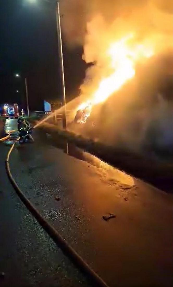 W ogniu spłonął cały zapas jedzenia dla zwierząt z przytuliska. Tragiczna sytuacja zwierząt poruszyła serca ludzi