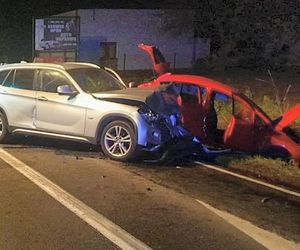 Ratownicy bezskutecznie reanimowali 4-latkę z wypadku w Dąbrowie Biskupiej