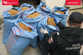 Nielegalna krajanka tytoniowa