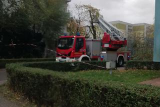 Wichura w Poznaniu. W regionie dwa tysiące interwencji strażaków