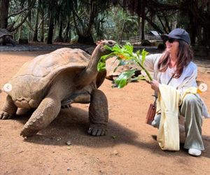 Maciej Orłoś, Paulina Orłoś