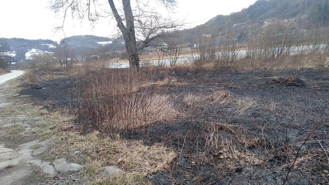 NIE ŻYJE kobieta poparzona w pożarze traw! Seryjne podpalenia na Sądecczyźnie!
