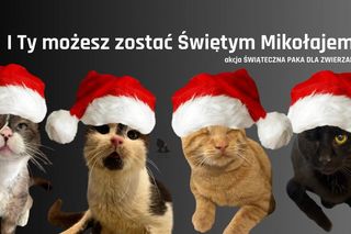 „Świąteczna paka dla zwierzaka”