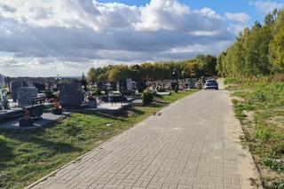 Pan Eryk koczuje na cmentarzu w Elblągu