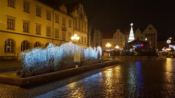 Świąteczne iluminacje we Wrocławiu