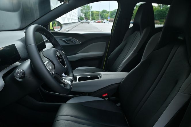 BYD DOLPHIN SURF