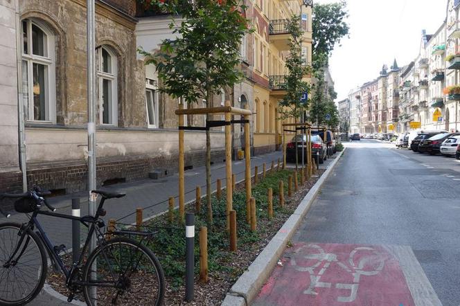 Nowy chodnik i drzewa przy ul. Małeckiego