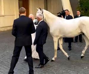 Papież Leon XIV otrzymał w środę białego konia czystej krwi arabskiej ze stadniny w Kołobrzegu-Budzistowie