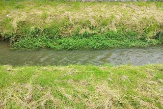 Sytuacja hydrologiczna w Tarnowie. Czy grozi nam powódź?