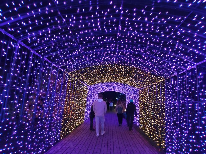 Park iluminacji w Lublinie