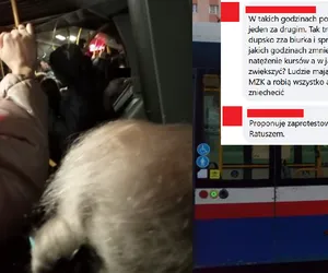 Awantura o bydgoski autobus w internecie. „Ludzie jeżdżą jak sardynki w puszce” 