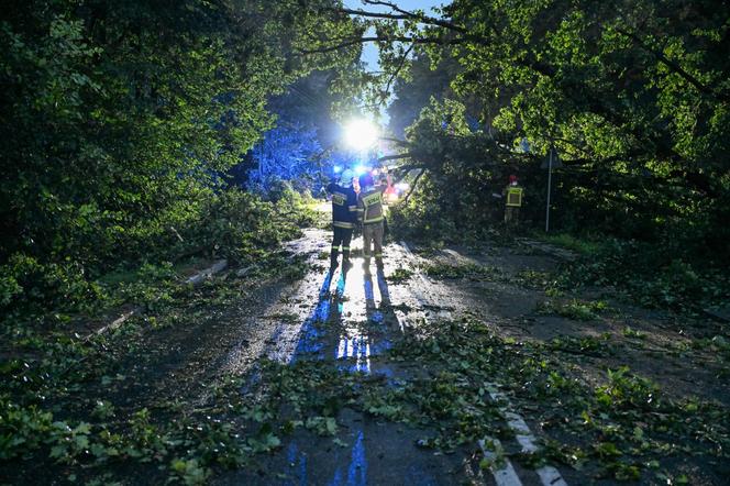 Ulewne deszcze na Podkarpaciu. Połamane drzewa na ulicach Dębicy