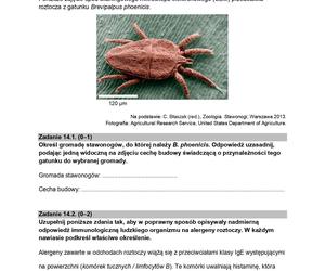 Biologia arkusze MATURA 2024 rozszerzenie FORMUŁA 2015