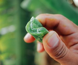 Znalazł się na zakazanej liście. GIS ostrzega: ma działanie rakotwórcze