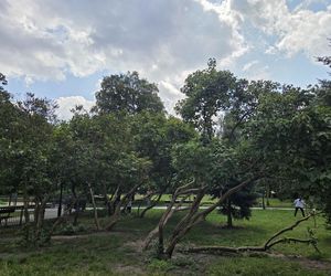 Spacer przez muzyczne serce Bydgoszczy. Park Kochanowskiego zachwyca historią i klimatem