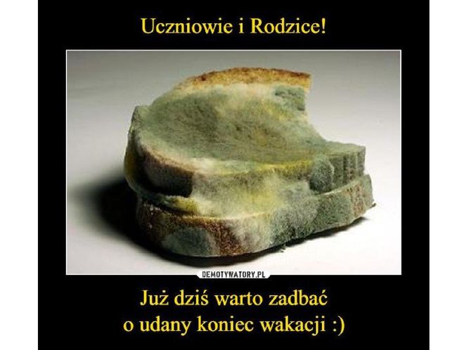 Memy o szkole i końcu wakacji