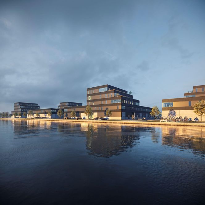 Regeneration of the port area in Amsterdam, The Netherlands