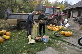 Rolnicy. Podlasie, odcinek 51 (sezon IV)