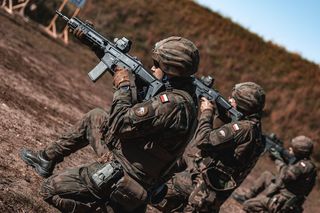 Powszechna Służba Państwowa. Nowa wizja budowania rezerw na rzecz bezpieczeństwa Polski