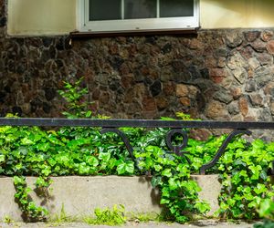 Dom pod żaglem w Warszawie