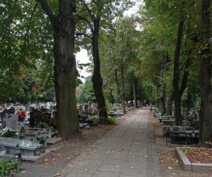 Ceny zniczy i wiązanek. Cmentarz Winiarski - Piątkowo Poznań