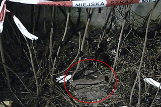 Niebezpieczne znalezisko w krzakach na Białołęce. Powiadomiono saperów