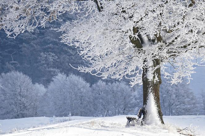 Idzie zima? Jutro w Starachowicach i w regionie może poprószyć śnieg