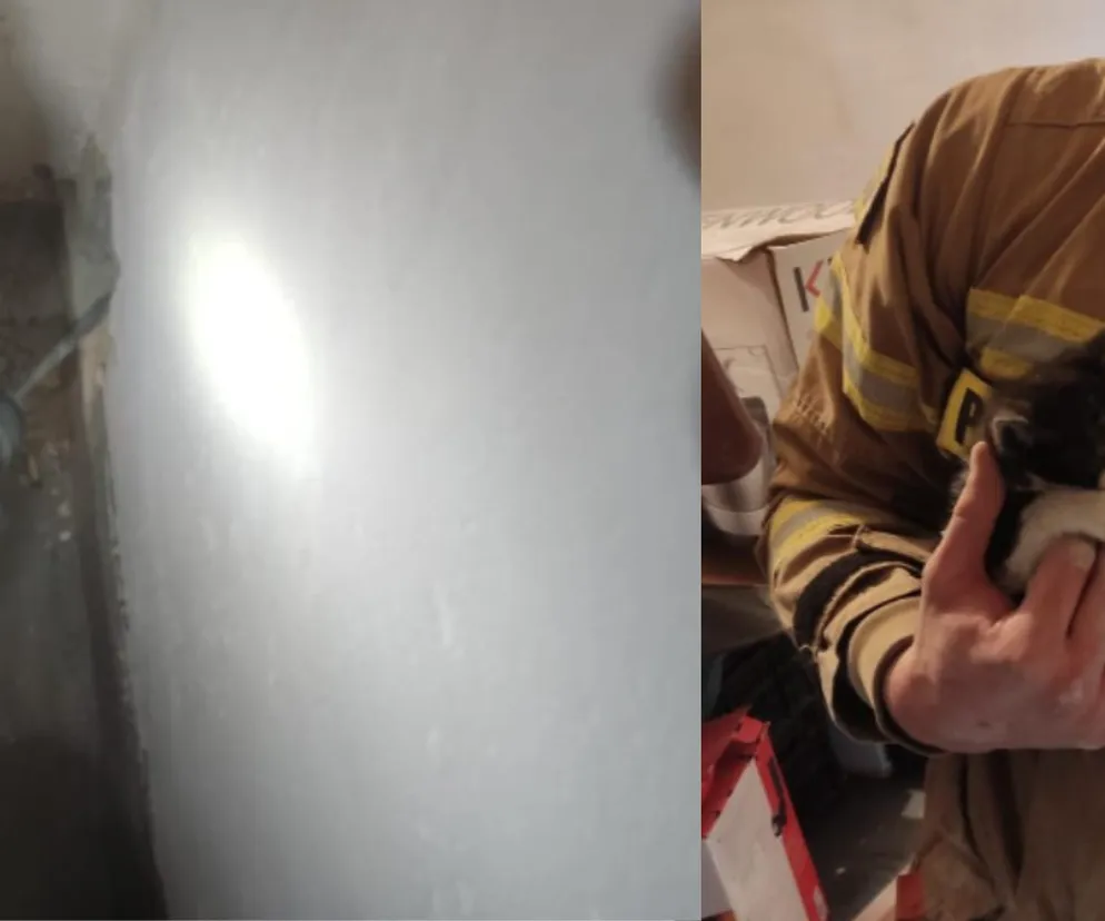 Kotek utknął w ścianie budynku! Akcja strażaków z Kędzierzyna-Koźla